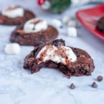 Cocoa Christmas Cookies