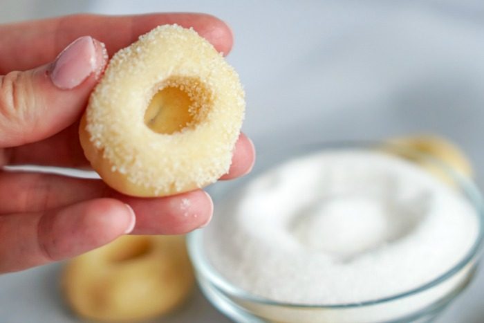 A person holding a Christmas Thumbprint Sugar Cookie.