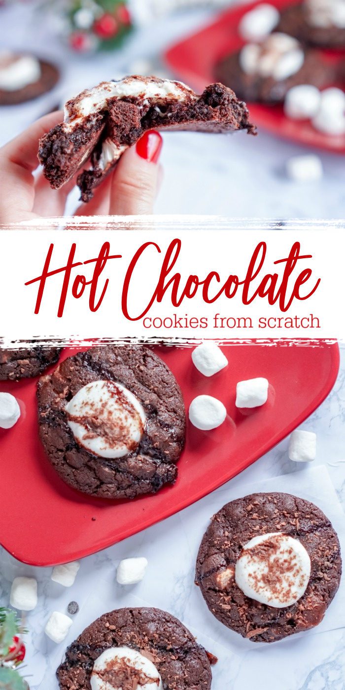 Easy hot chocolate cookies from scratch.