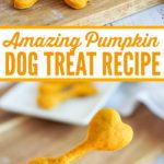 Amazing Pumpkin Dog Treat Recipe