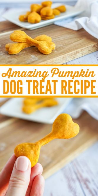 Easy homemade pumpkin dog treat recipe.