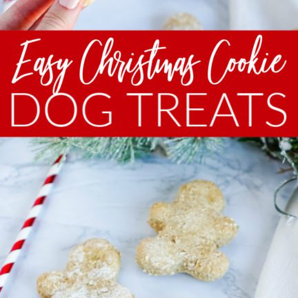 Homemade Dog Christmas Cookies - Lemon Peony