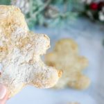 Homemade Christmas Cookie Dog Treats Recipe Featured