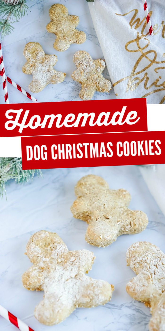 Homemade Dog Christmas Cookie Treats Recipe