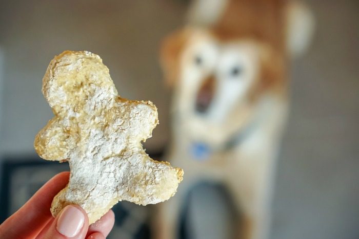 A person holding up a homemade Christmas cookie with a dog in the background.