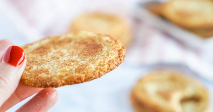 A person holding up a Snickerdoodle cookie on a white background.