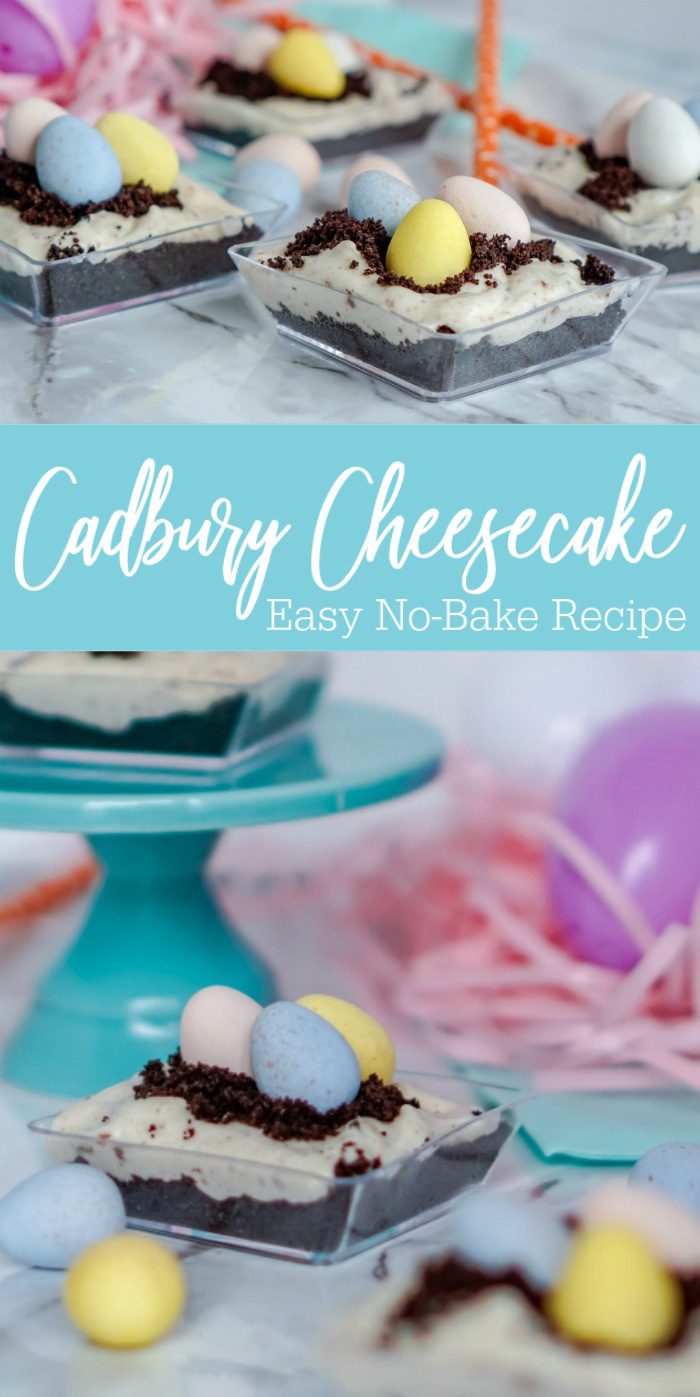 Carrington Easter No Bake Mini Cheesecake Recipe.