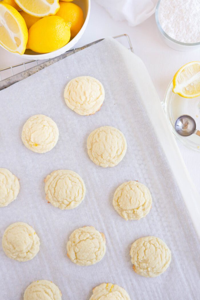 Freshly baked lemon sugar cookies on a parchment-lined baking tray, surrounded by whole lemons, a sifter, and a bowl of lemons on a white table.