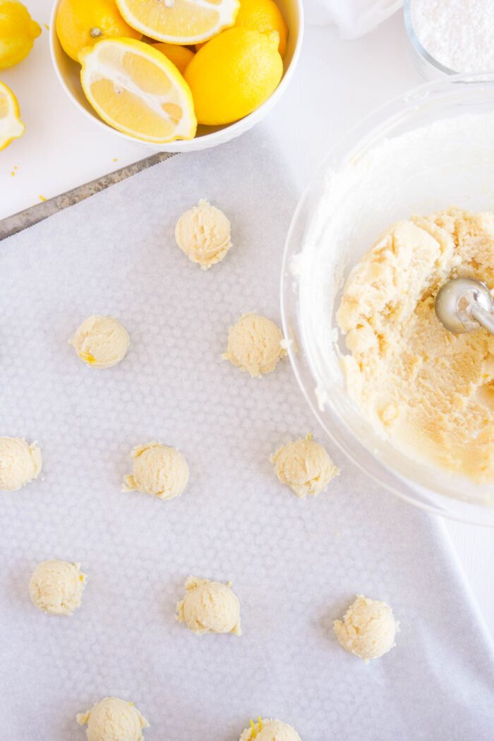 Lemon sugar cookie dough scoops on parchment paper with a bowl of dough and fresh lemons in the background.