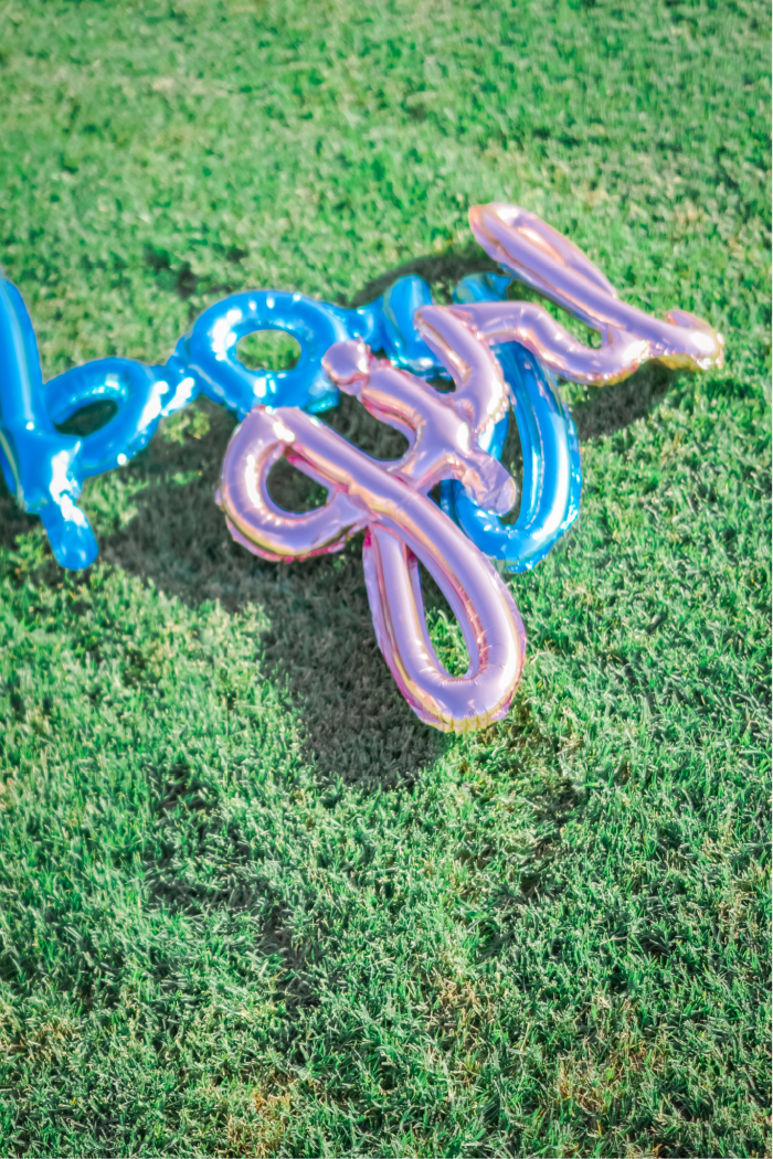 Pink and blue balloons spelling out "boy or girl" on grass.