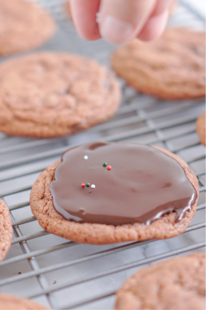 Chocolate cookies with chocolate frosting and sprinkles.