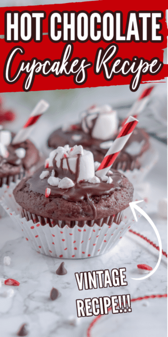 A close up of a chocolate cupcake with a marshmallow on top.