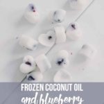 Frozen-Coconut-Oil-and-Blueberry-Dog-Treats