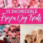 Frozen Dog Treat Recipes