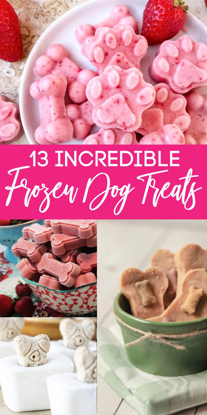 Various frozen dog treats shaped like bones and paws.