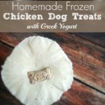 Homemade-Frozen-Chicken-Dog-Treats-banner