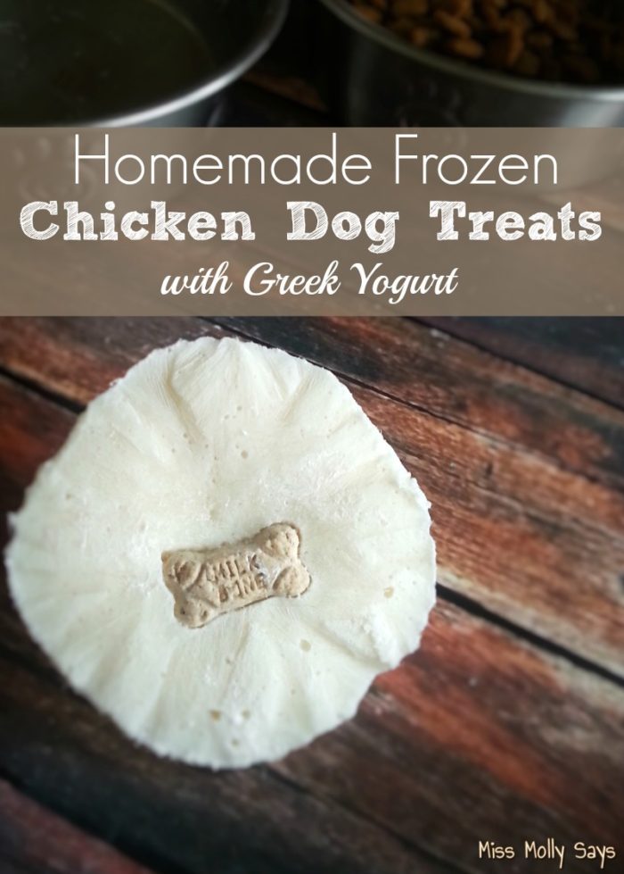 Homemade frozen chicken dog treats with Greek yogurt.