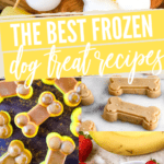 The Best Frozen Dog Treat Recipes