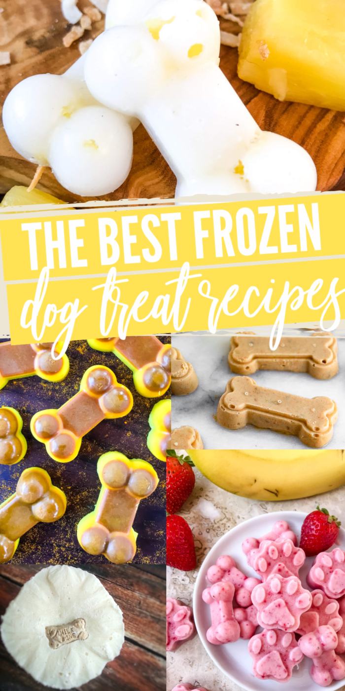 A collage of images of homemade frozen dog treats.