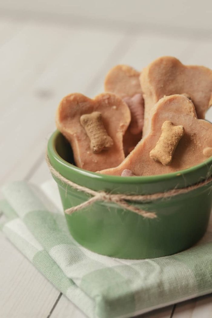 Close-up of bowl of homemade dog treats.