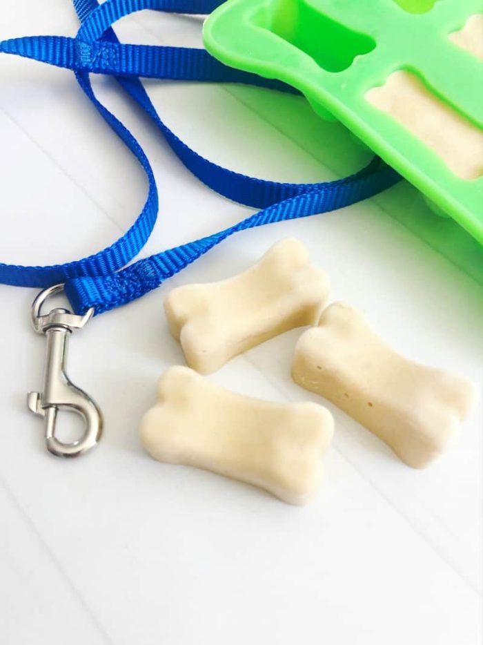 Three bone-shaped frozen dog treats.