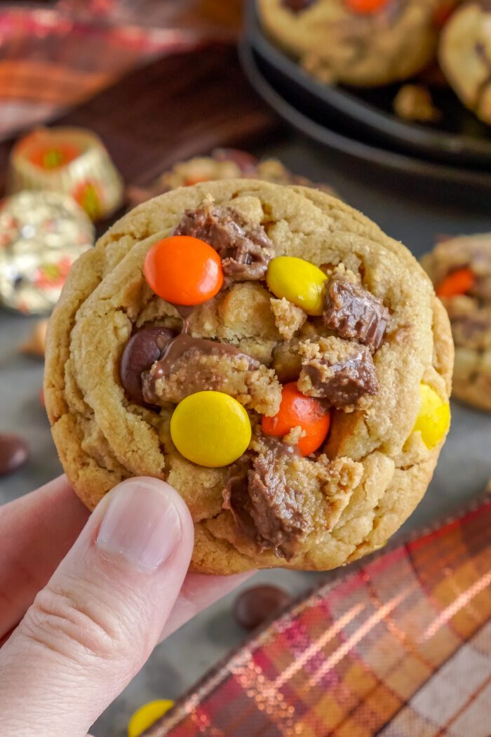 Close up of individual cookie