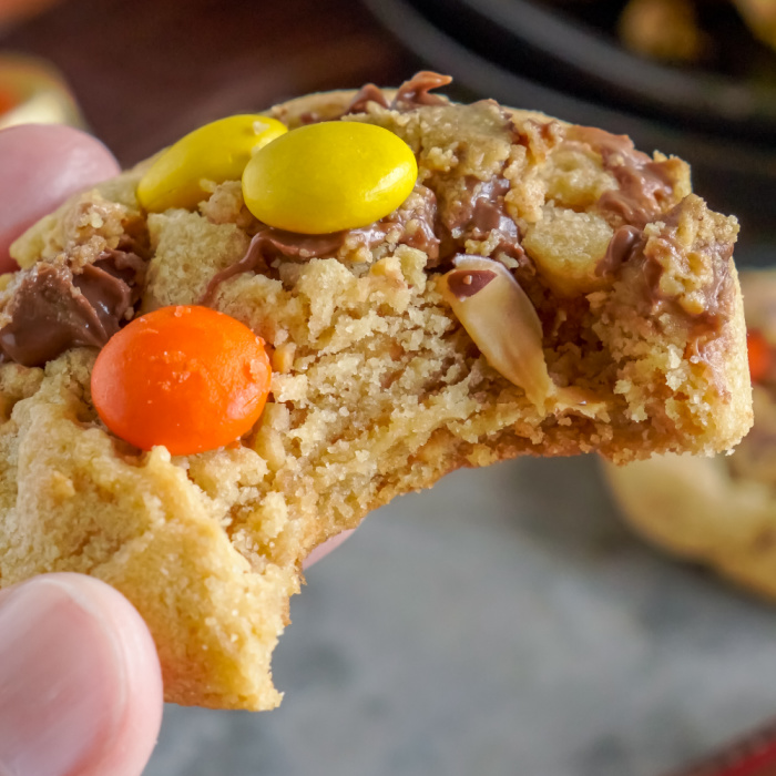 Bite of Reese's Peanut Butter Cookie
