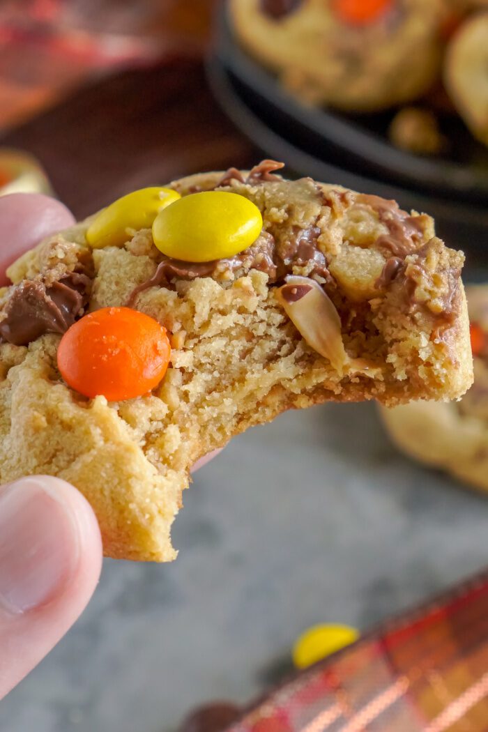 Bite Reese's Peanut Butter Cookies