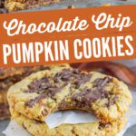 Chocolate Chip Pumpkin Cookies