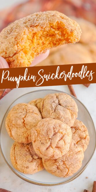 A close-up of a pumpkin snickerdoodle cookie.