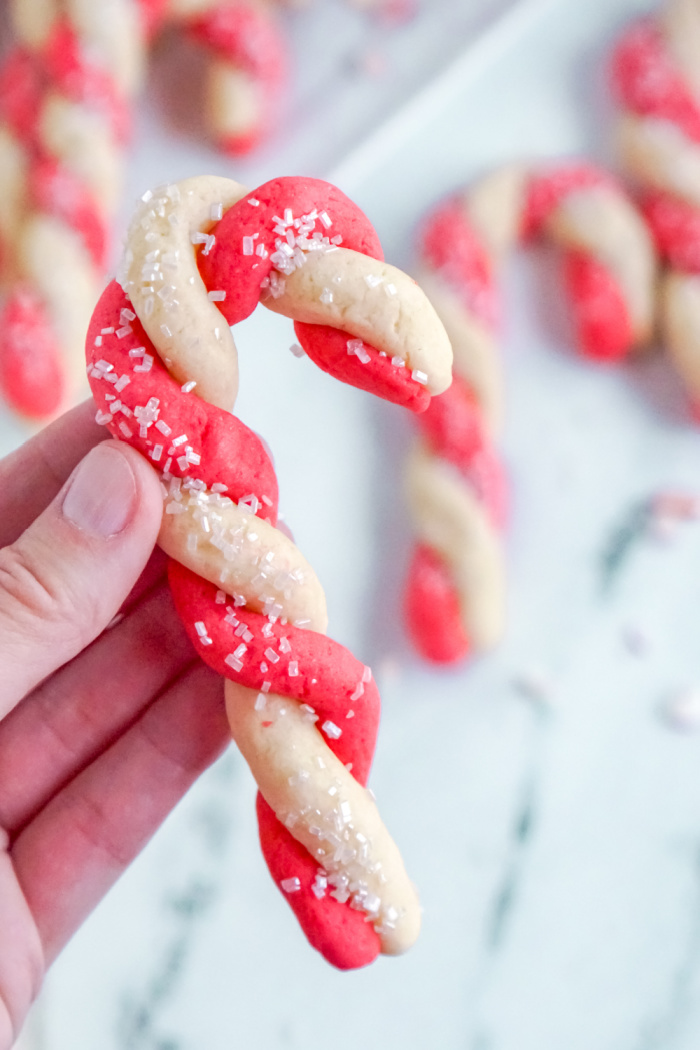 Close Up of Someone Holding a Candy Cane Sugar Cookie