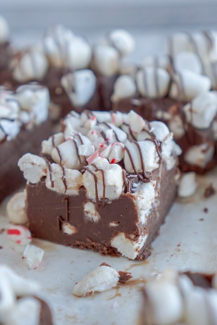 Close up of decorated fudge square