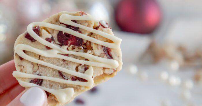 Close up view of someone holding cookie