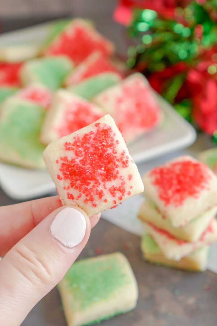 Someone Holding a Mini Christmas Sugar Cookie