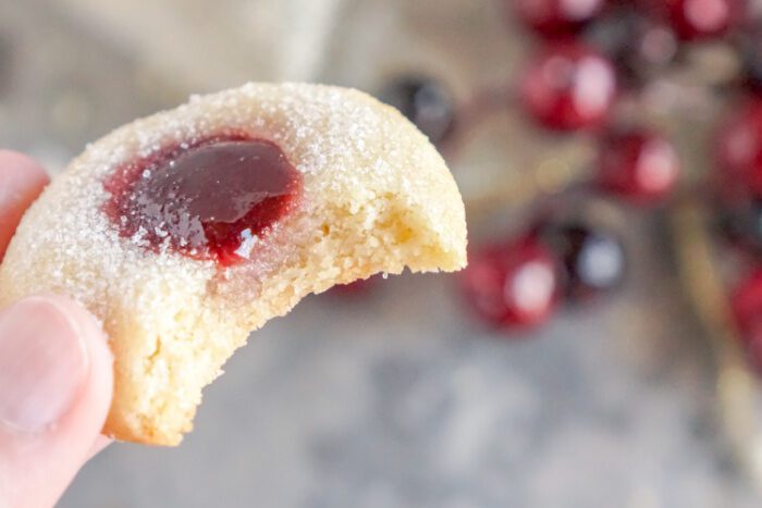 Someone holding cookie with bite taken out