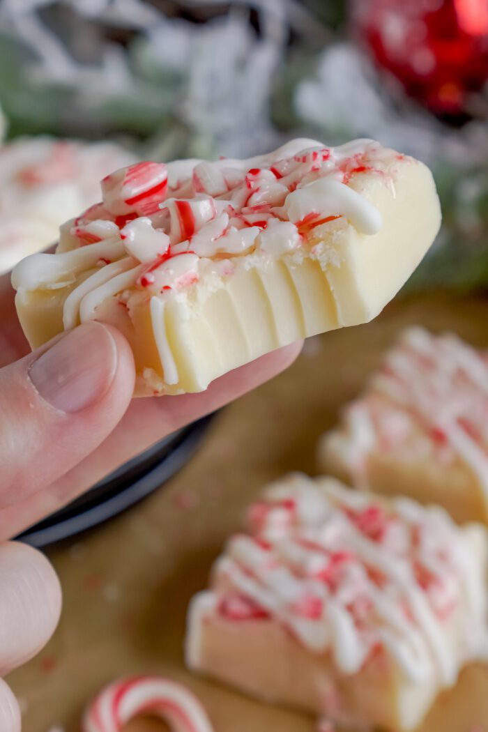 Someone Holding a Candy Cane Fudge Square With a Bite Taken Out