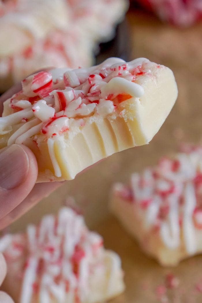 Someone Holding a Peppermint Fudge Square