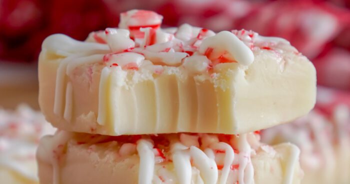 Close Up Of a Peppermint Fudge Square With a Bite Taken Out