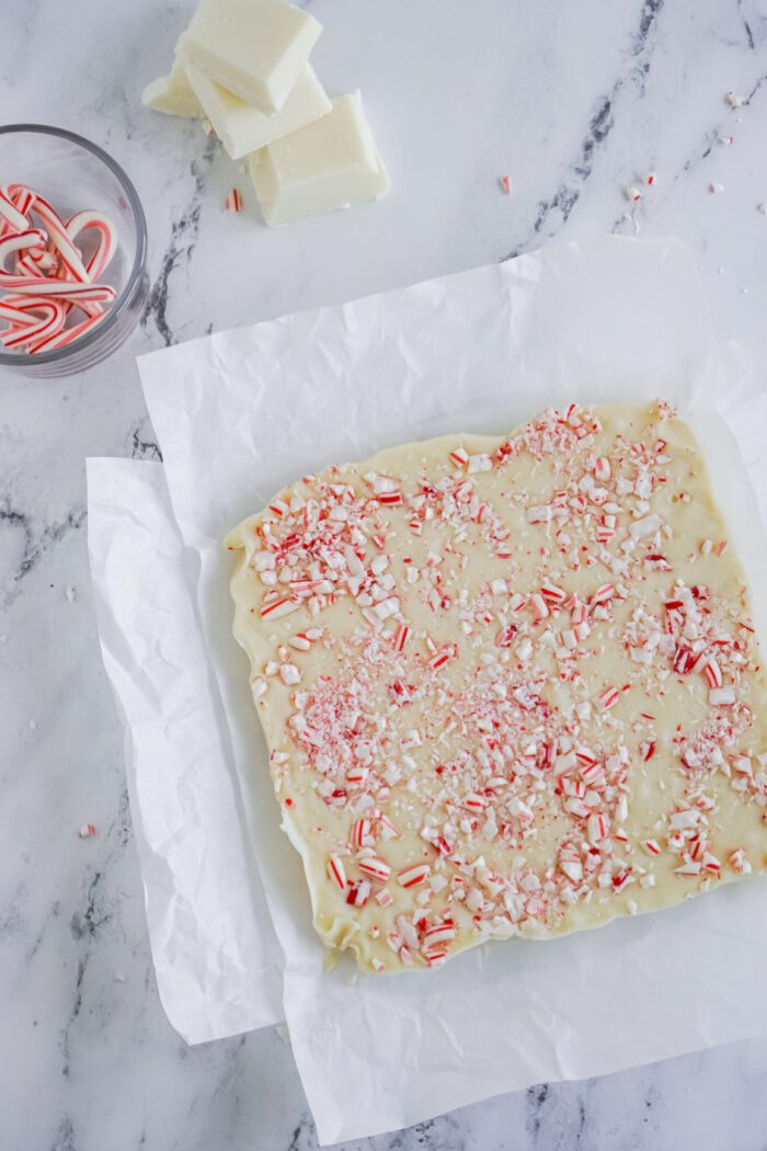 Peppermint Fudge with Crushed Peppermint On Top