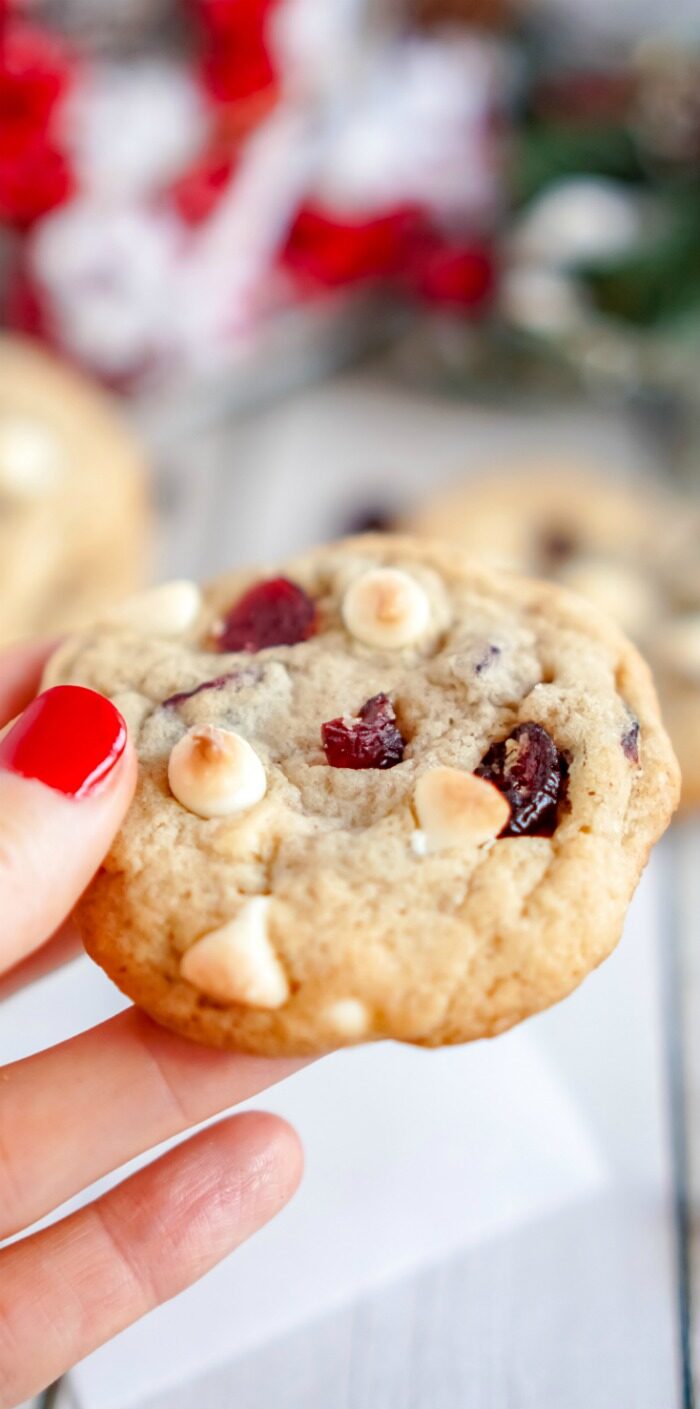 Someone holding a Cranberry White Chocolate Chip Cookie