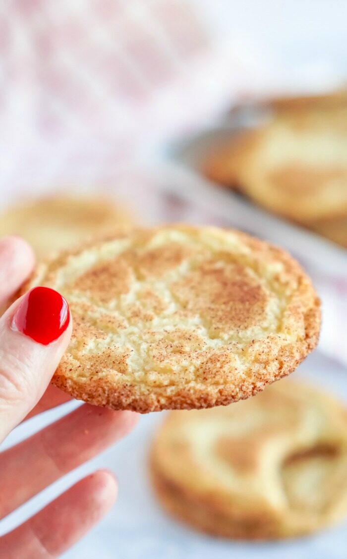 Someone holding a Snickerdoodle cookie