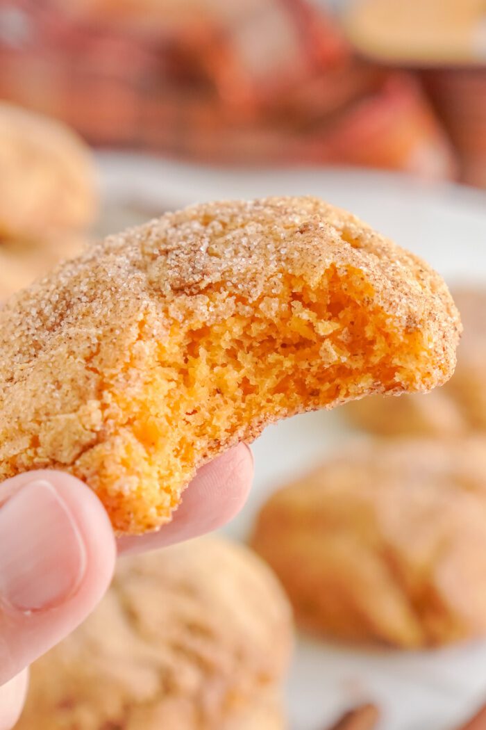 Someone holding a Pumpkin Snickerdoodle Cookie