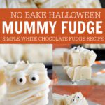 Mummy Fudge