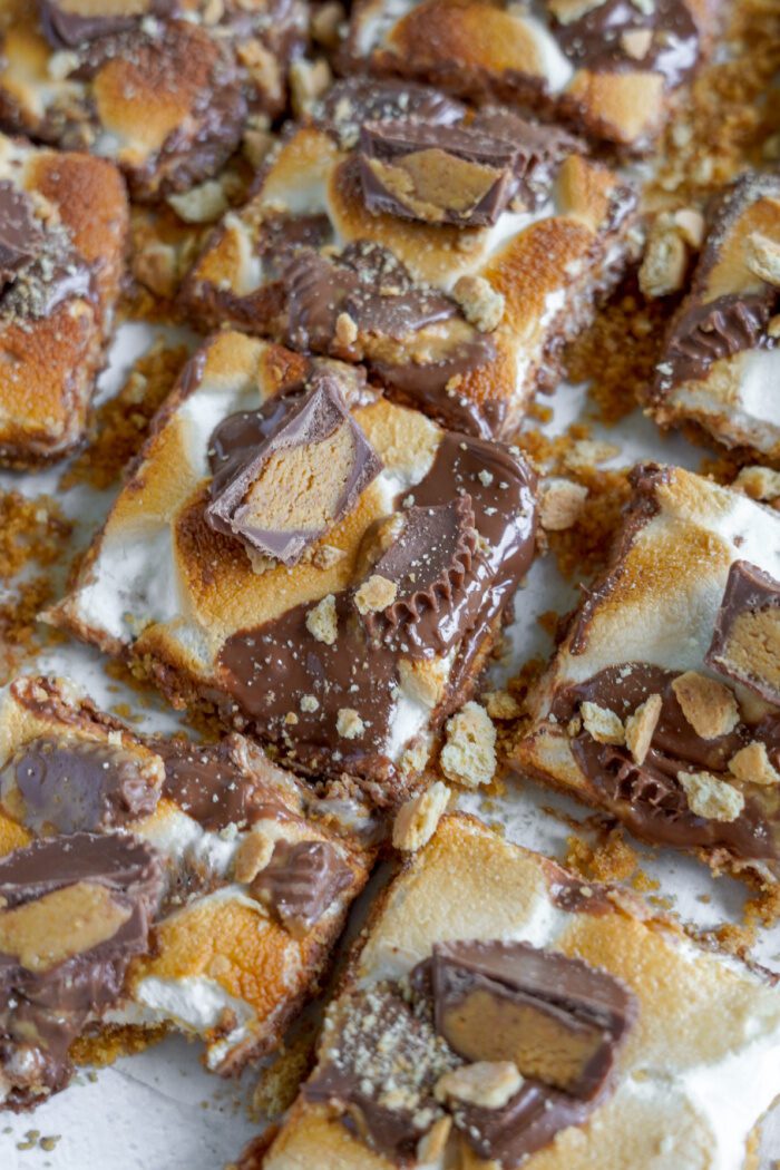 Reese's S'mores Bars cut into squares