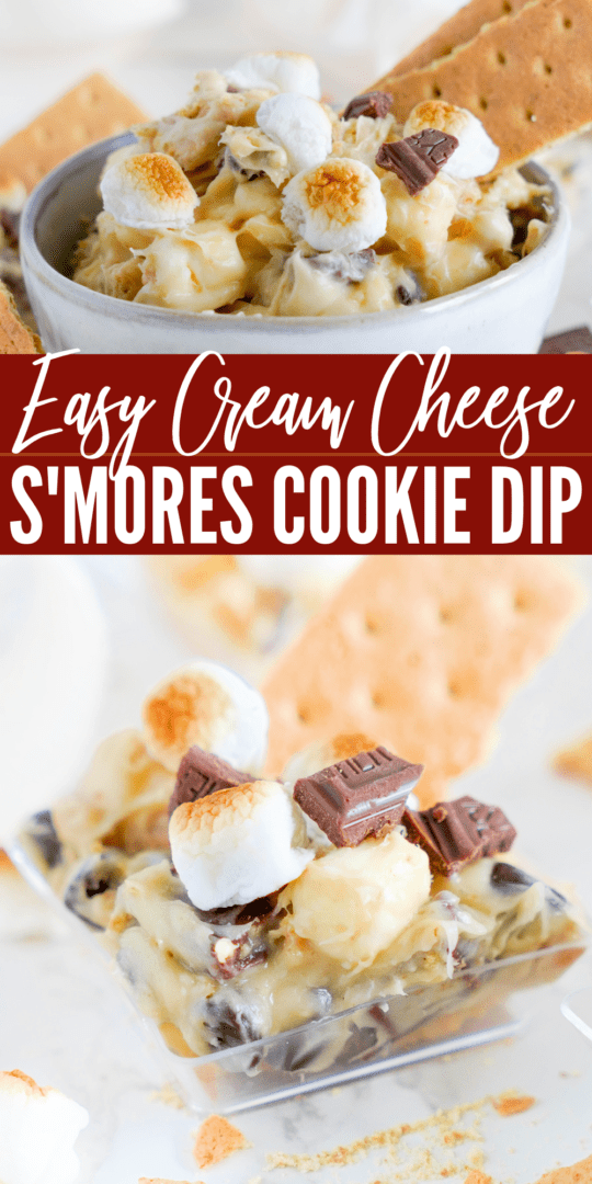 Amazing Easy S'mores Cookie Dip