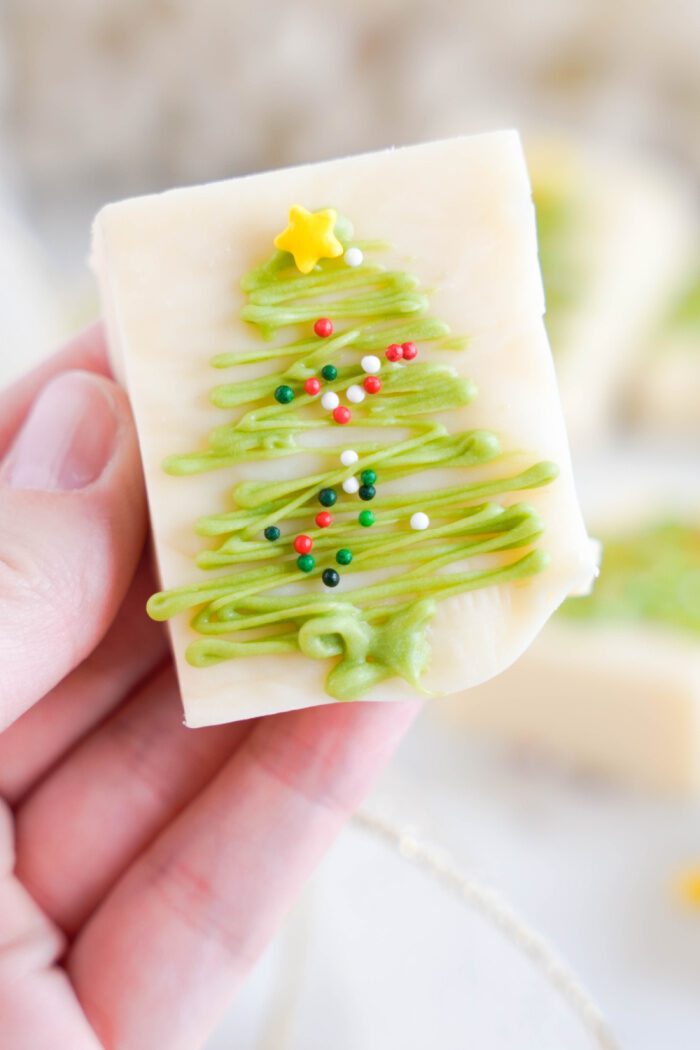 Someone holding a Christmas Fudge square