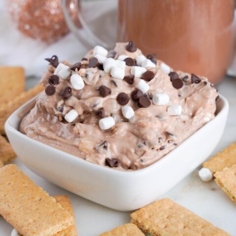 Close up view of Hot Chocolate Dip