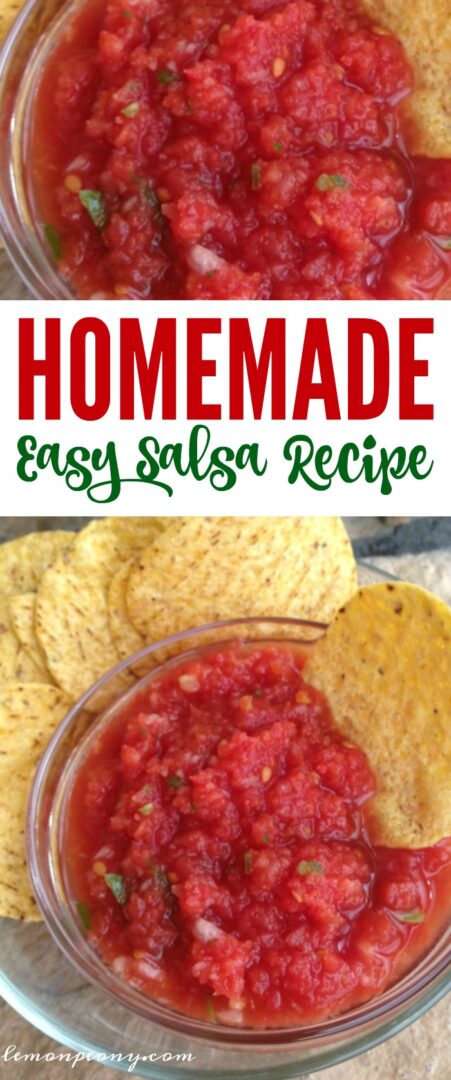 Above view of Easy Salsa Recipe