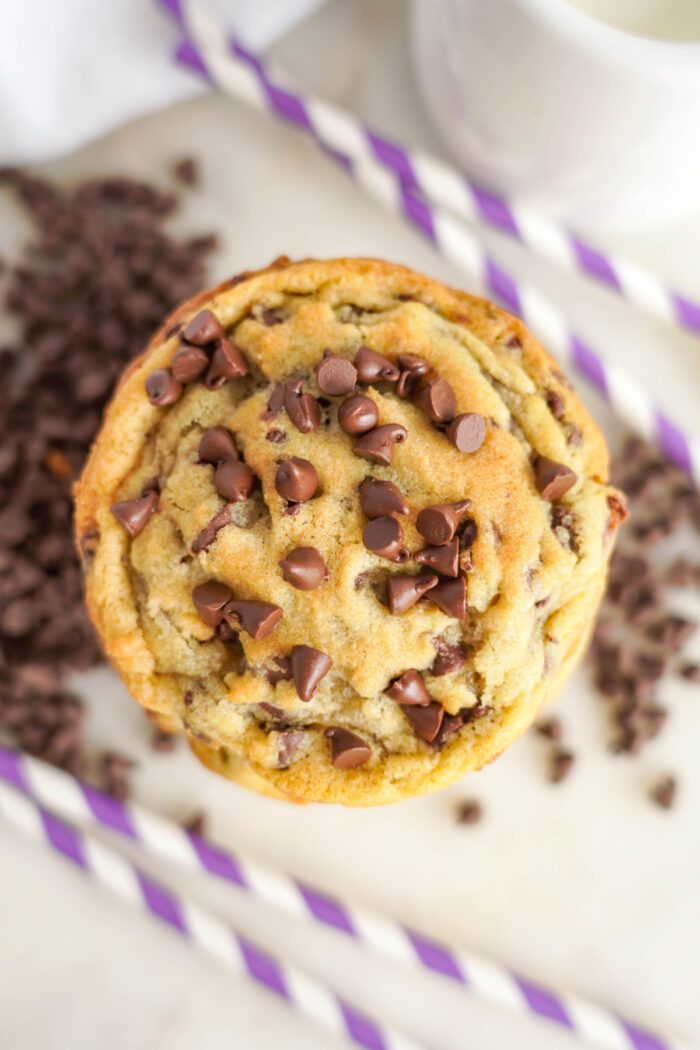 Chocolate Chip Cookie with Chocolate Chips