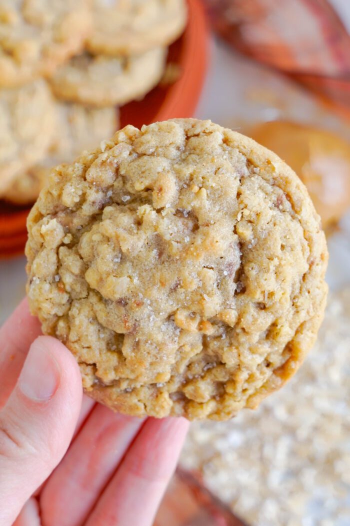 A close-up image of a hand holding an oatmeal cookie.